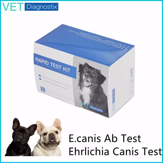 Kit de test rapide d'Ehrlichia Canis Kit de test rapide chez les chiens